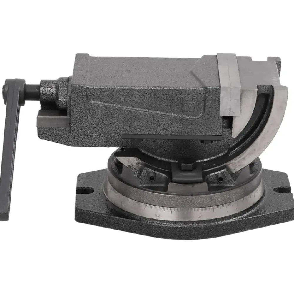 Outils-vidaXL Étau inclinable à 2 axes 100 mm
