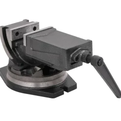 Outils-vidaXL Étau inclinable à 2 axes 100 mm