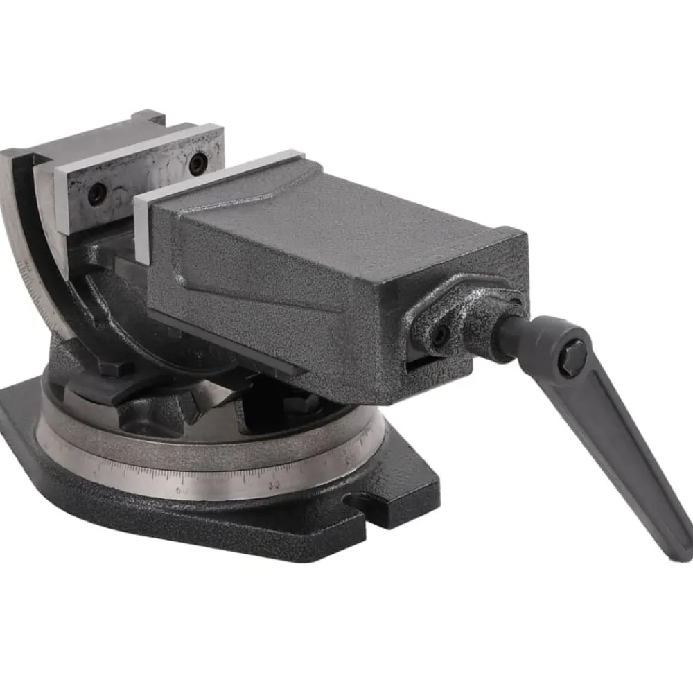 Outils-vidaXL Étau inclinable à 2 axes 100 mm