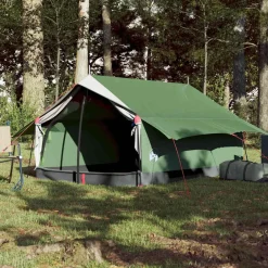 Loisirs De Plein Air-vidaXL Tente de camping 2 personnes imperméable Vert