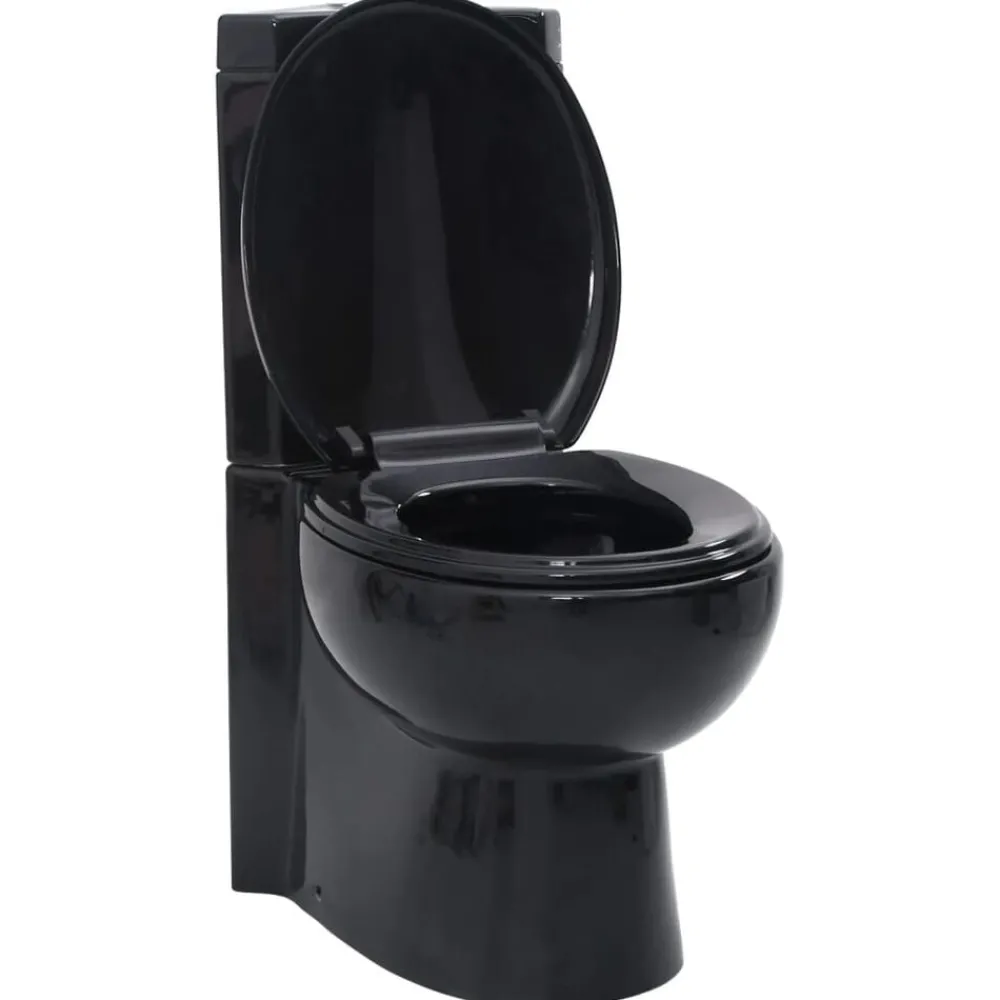 Plomberie-vidaXL Toilette d'angle en céramique pour salle de bains Noir