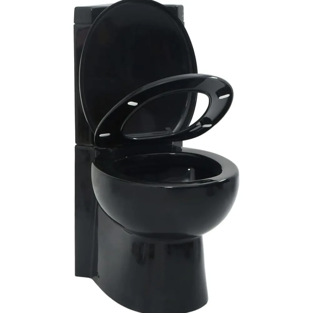 Plomberie-vidaXL Toilette d'angle en céramique pour salle de bains Noir