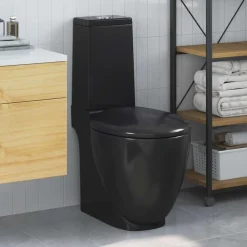 Plomberie-vidaXL Toilette en céramique ronde écoulement d'eau au fond Noir
