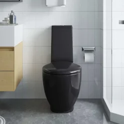 Plomberie-vidaXL Toilette en céramique Ronde Écoulement d'eau au fond Noir