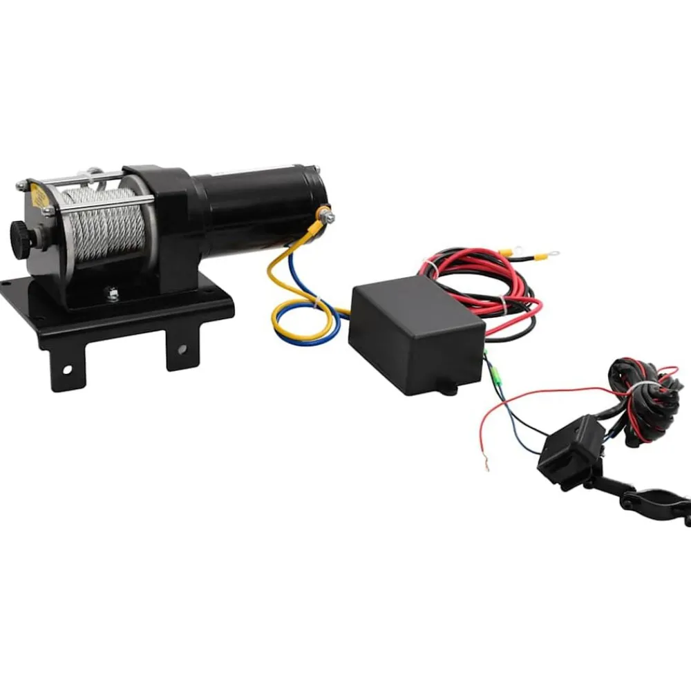Manutention De Matériaux-vidaXL Treuil électrique 12 V 1360 kg avec télécommande sans fil