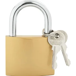 vidaXL U Lock avec Clés 6 pcs Laiton Fer