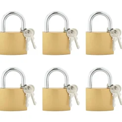 vidaXL U Lock avec Clés 6 pcs Laiton Fer