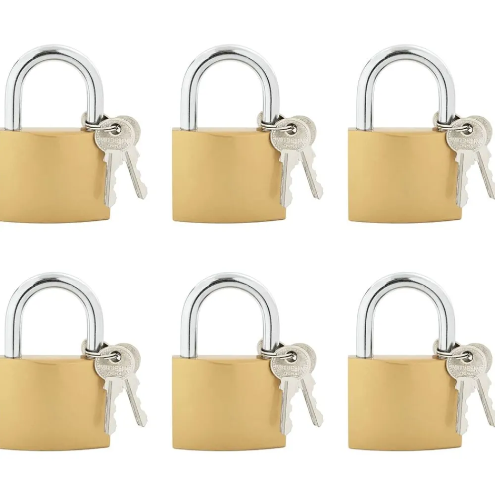 vidaXL U Lock avec Clés 6 pcs Laiton Fer