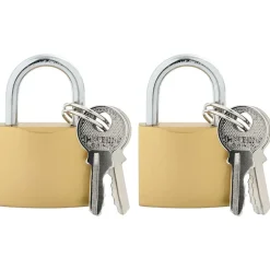 Serrures & Clés-vidaXL U Lock avec Clés 2 pcs Laiton Fer