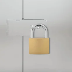 vidaXL U Lock avec Clés 50 pcs Laiton Fer