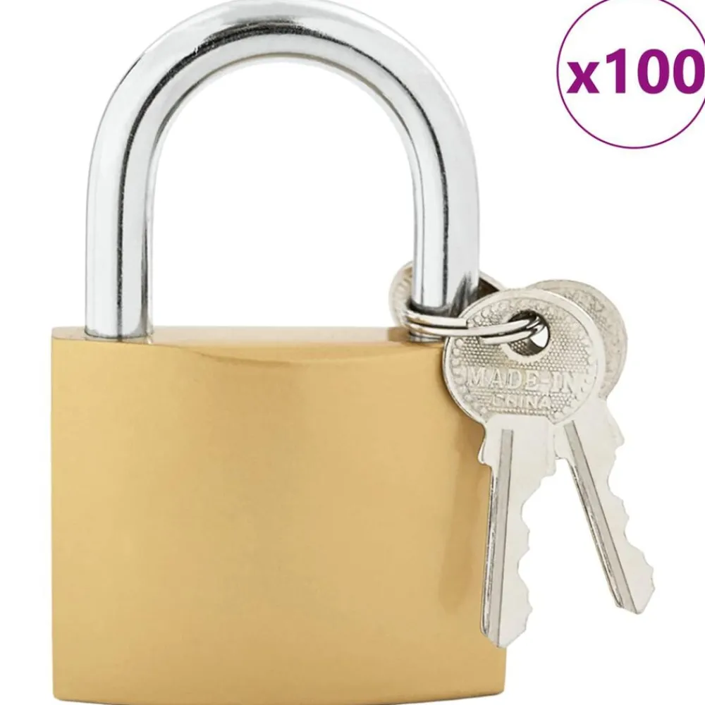 Serrures & Clés-vidaXL U Lock avec Clés 100 pcs Laiton Fer