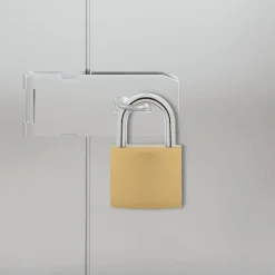 Serrures & Clés-vidaXL U Lock avec Clés 100 pcs Laiton Fer