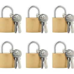 vidaXL U Lock avec Clés 6 pcs Laiton Fer