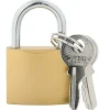 vidaXL U Lock avec Clés 6 pcs Laiton Fer