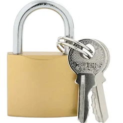 vidaXL U Lock avec Clés 6 pcs Laiton Fer