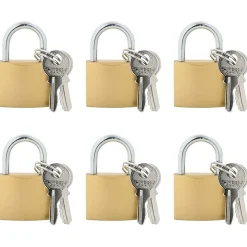 vidaXL U Lock avec Clés 6 pcs Laiton Fer