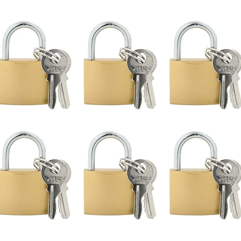 Serrures & Clés-vidaXL U Lock avec Clés 6 pcs Laiton Fer