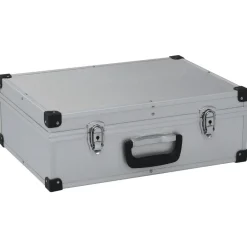 vidaXL Valise à outils 46 x 33 x 16 cm Argenté Aluminium