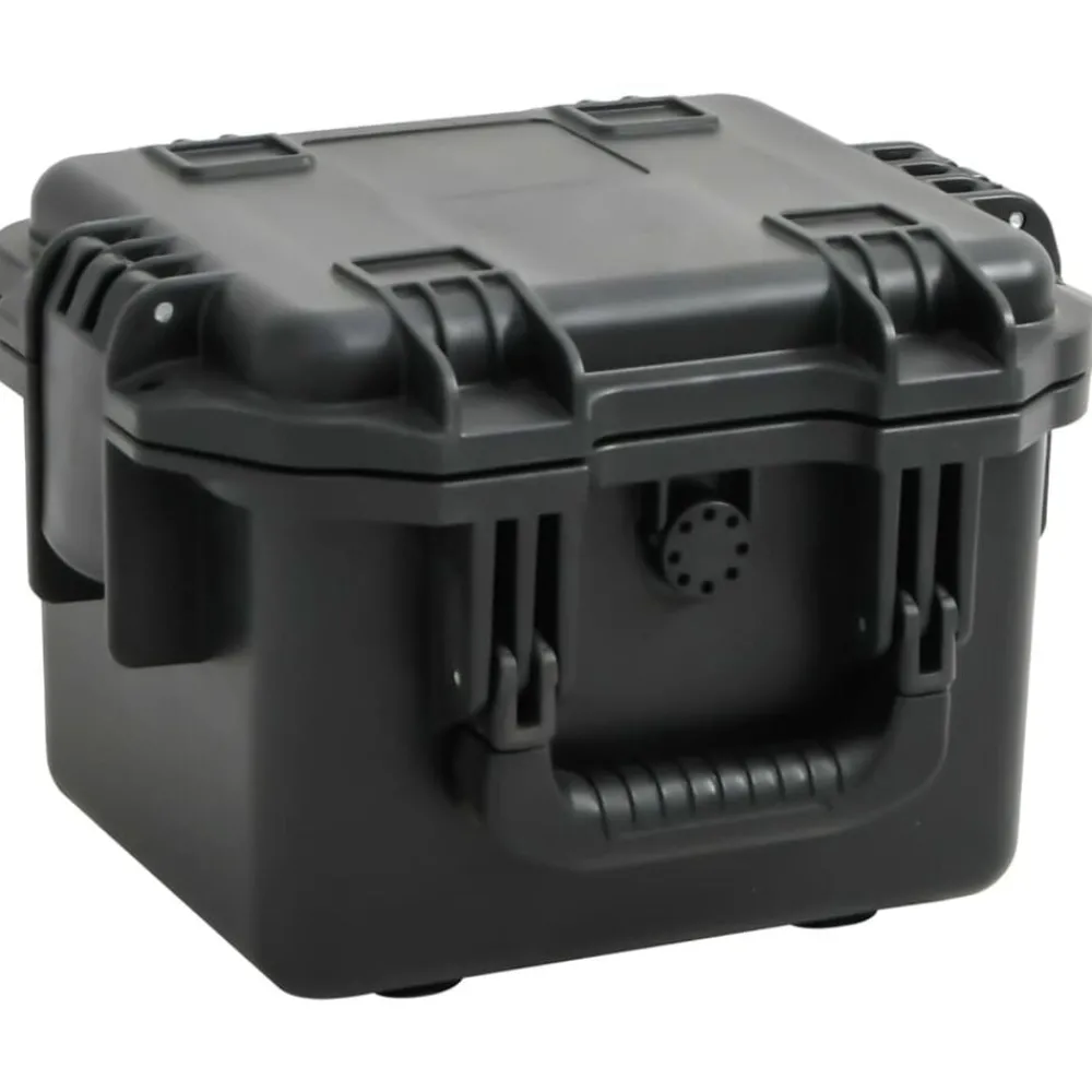 Appareils Photo-vidaXL Valise de vol portable Noir 30x24,5x20 cm PP