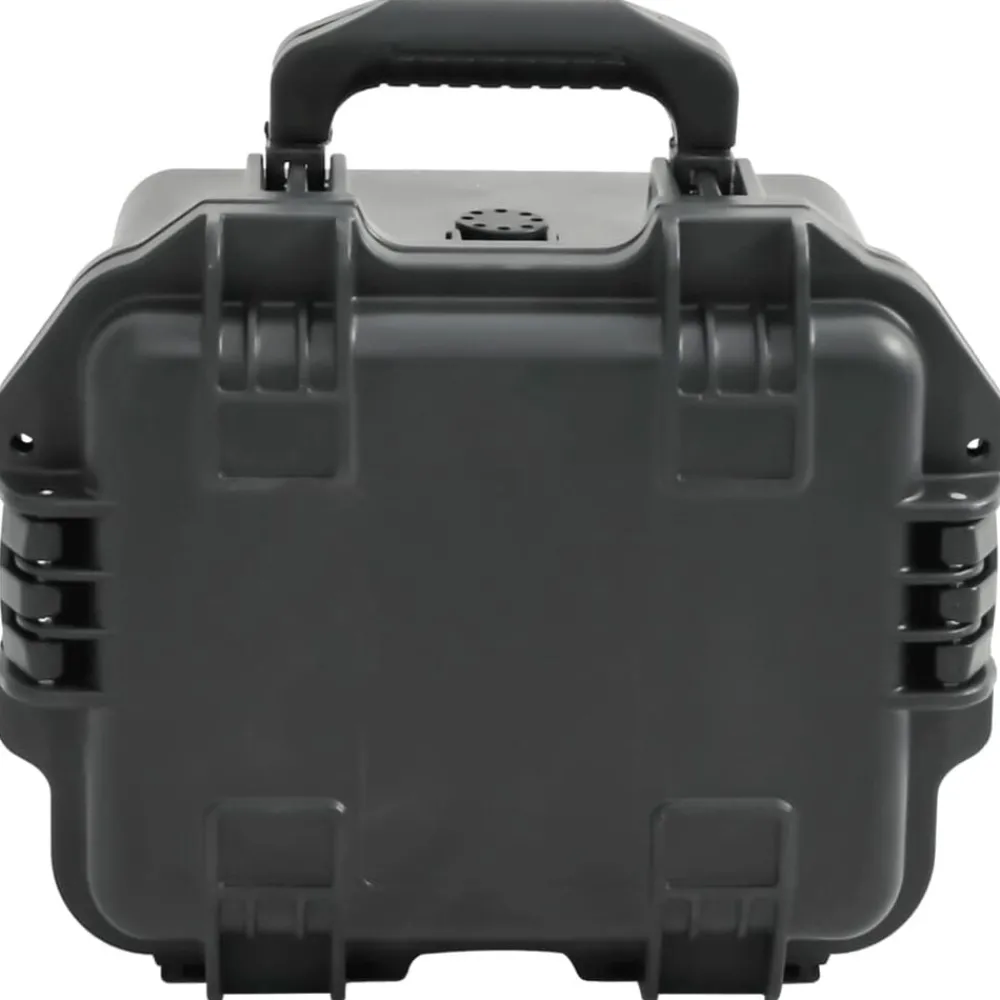 Appareils Photo-vidaXL Valise de vol portable Noir 30x24,5x20 cm PP