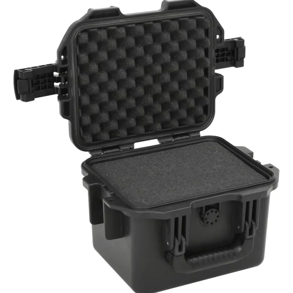 Appareils Photo-vidaXL Valise de vol portable Noir 30x24,5x20 cm PP