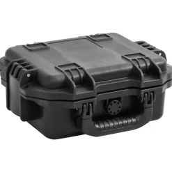 vidaXL Valise de vol portable Noir 30x24,5x12,5 cm PP