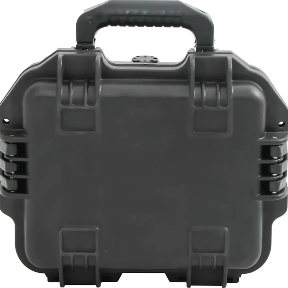 vidaXL Valise de vol portable Noir 30x24,5x12,5 cm PP