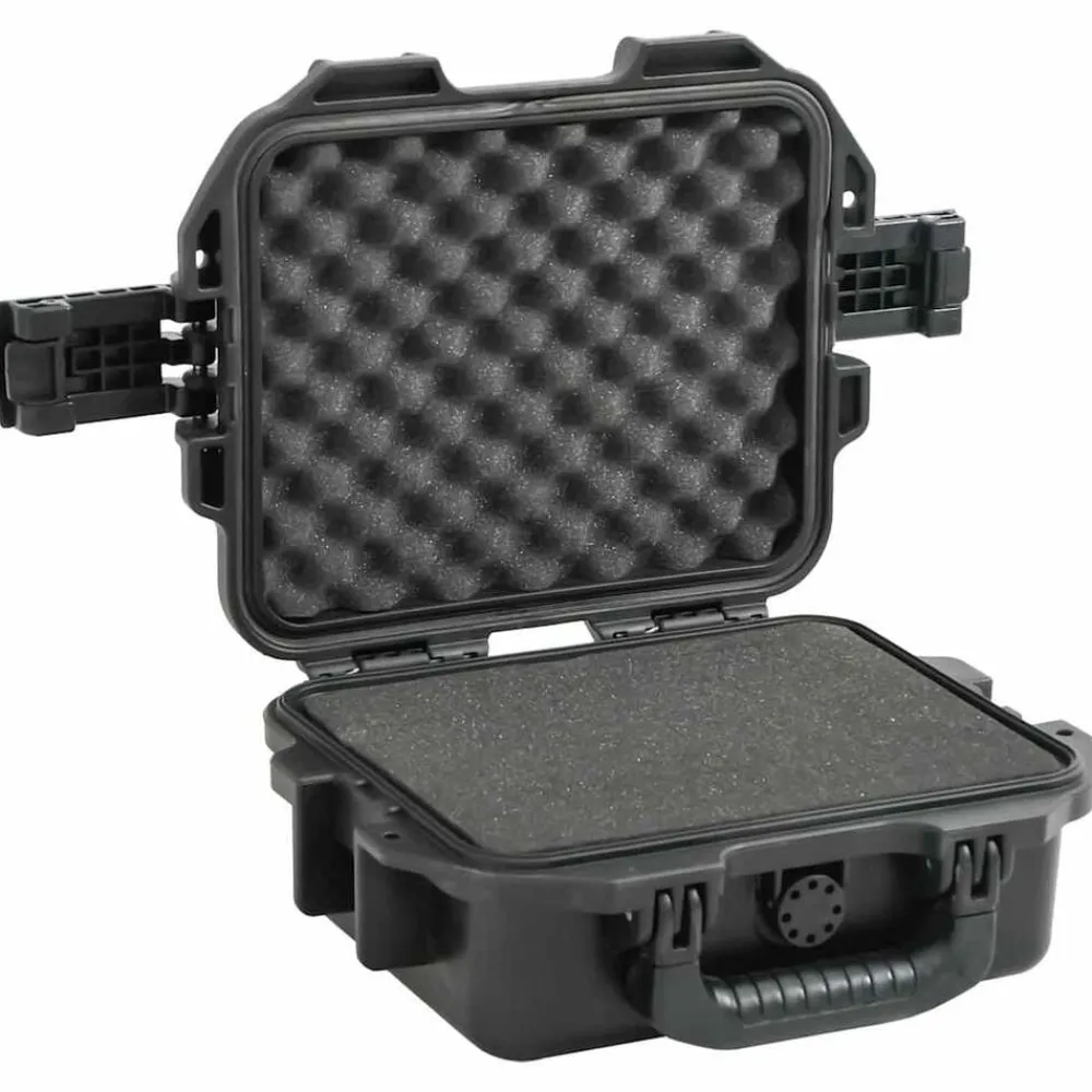vidaXL Valise de vol portable Noir 30x24,5x12,5 cm PP