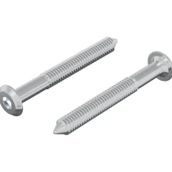 Accessoires De Quincaillerie-vidaXL Vis 2 pcs Argenté M6 x 50 mm Acier