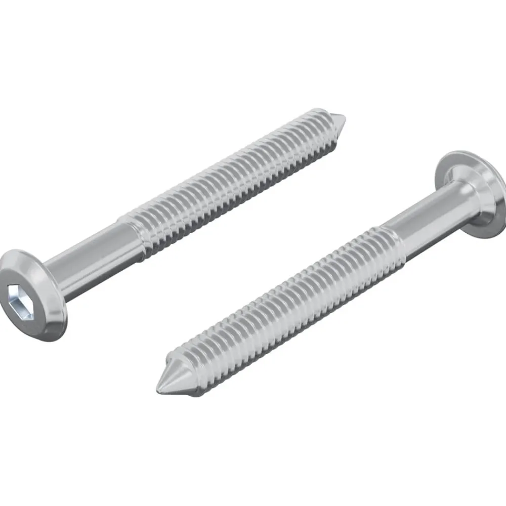 Accessoires De Quincaillerie-vidaXL Vis 2 pcs Argenté M6 x 50 mm Acier
