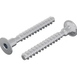 Accessoires De Quincaillerie-vidaXL Vis 2 pcs Zincé 5 x 40 mm Fer