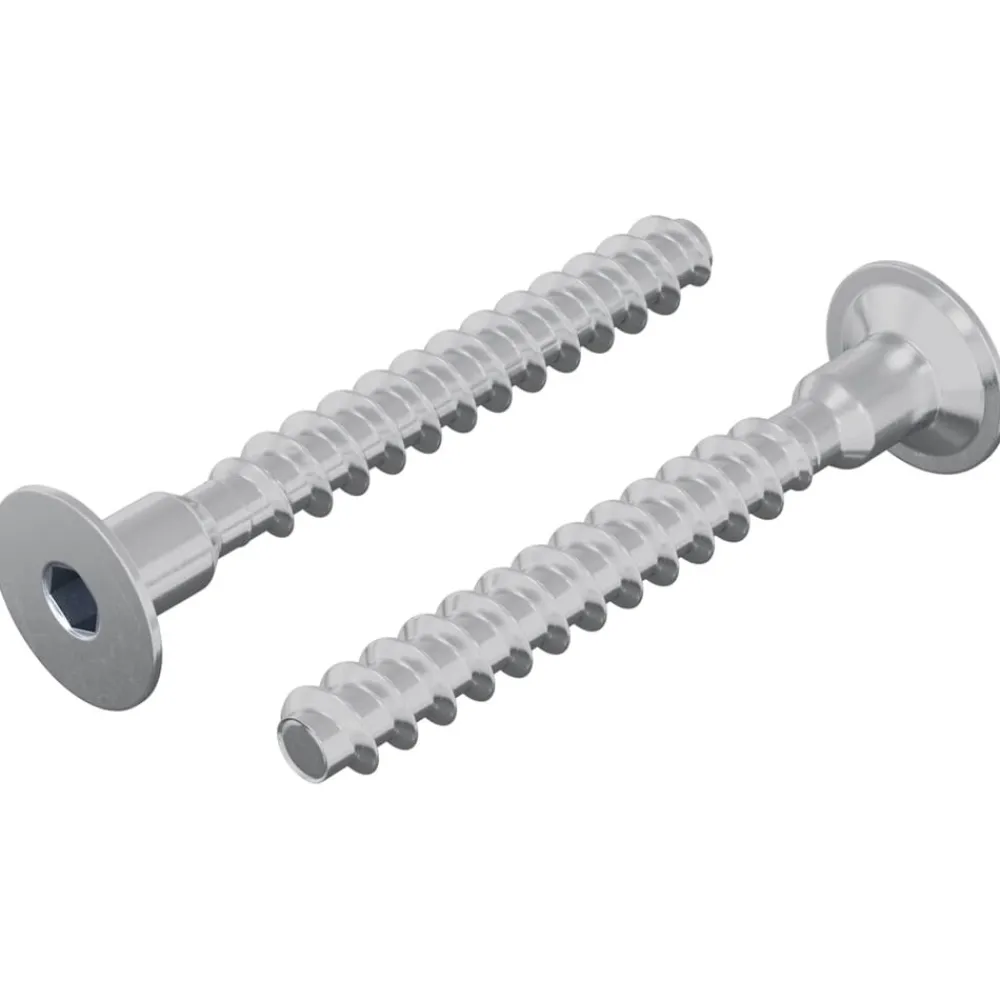 Accessoires De Quincaillerie-vidaXL Vis 2 pcs Zincé 5 x 40 mm Fer
