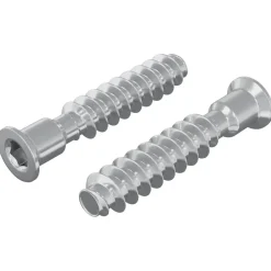 vidaXL Vis à tête cap 2 pcs Argenté M7 x 40 mm Acier