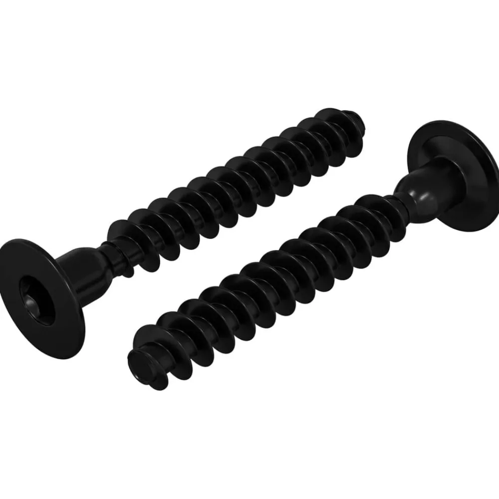 vidaXL Vis à tête de capuchon à douille 2 pcs Noir M5 x 40 mm Fer
