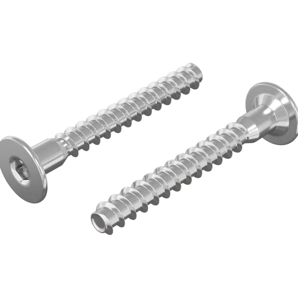 Accessoires De Quincaillerie-vidaXL Vis confirmat 2 pcs Argenté Ø5 x 40 mm Métал