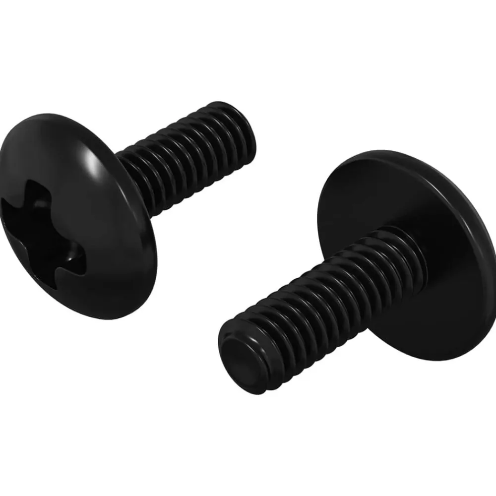 vidaXL Vis de manchon 2 pcs Noir M4 x 10 mm Acier