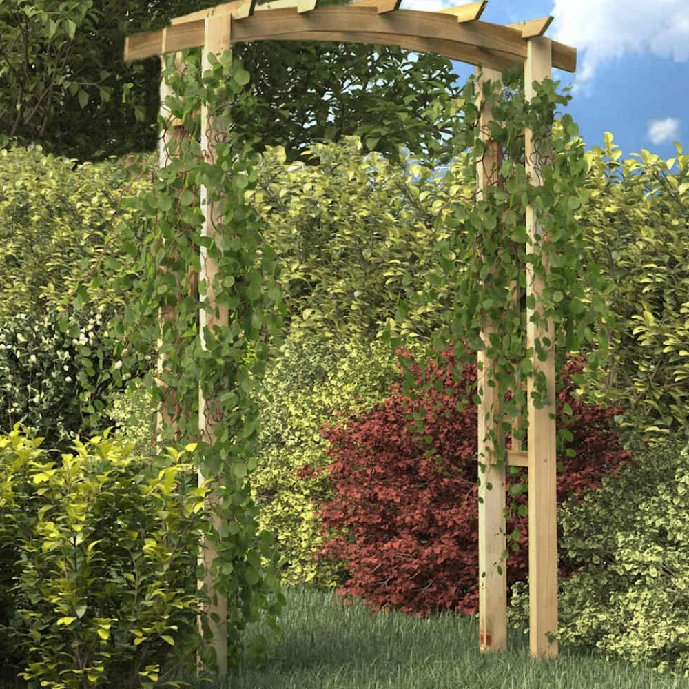 Pelouses & Jardins-vidaXL Voûte en treillis 150x60x210 cm Bois
